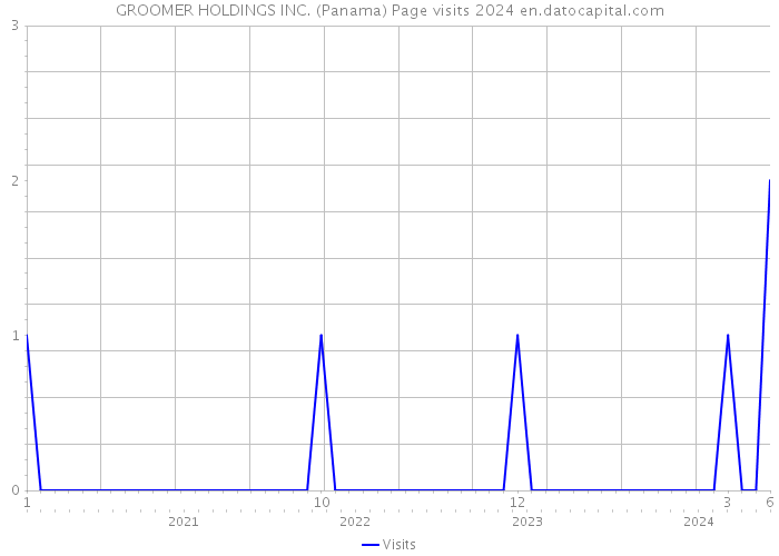 GROOMER HOLDINGS INC. (Panama) Page visits 2024 