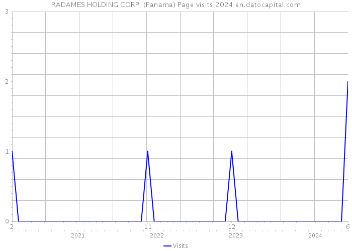 RADAMES HOLDING CORP. (Panama) Page visits 2024 