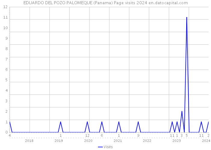 EDUARDO DEL POZO PALOMEQUE (Panama) Page visits 2024 