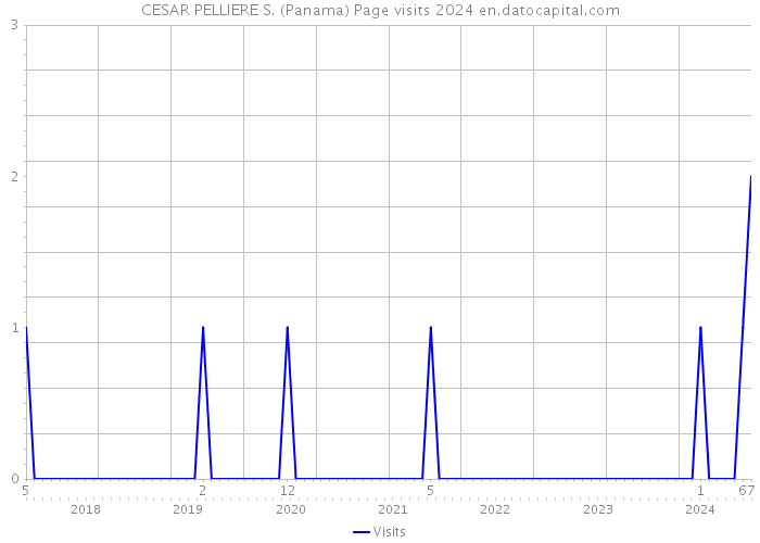 CESAR PELLIERE S. (Panama) Page visits 2024 