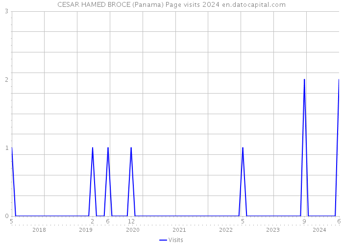 CESAR HAMED BROCE (Panama) Page visits 2024 