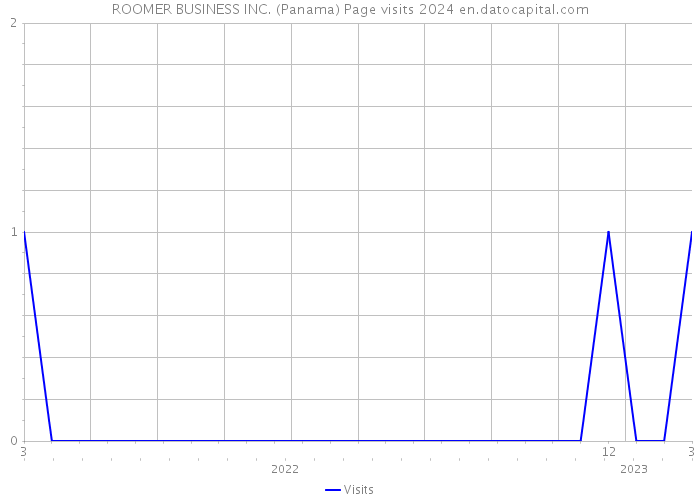 ROOMER BUSINESS INC. (Panama) Page visits 2024 