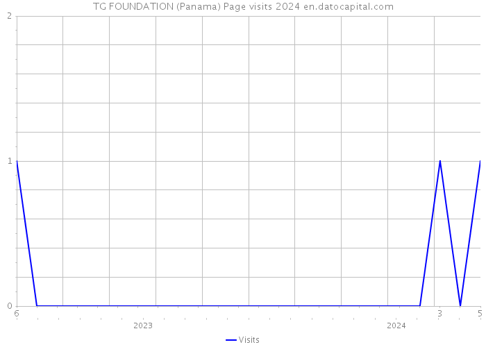 TG FOUNDATION (Panama) Page visits 2024 