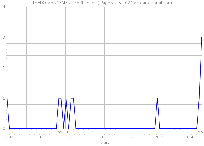 TAEDO MANGEMENT SA (Panama) Page visits 2024 