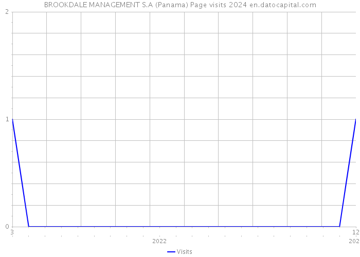 BROOKDALE MANAGEMENT S.A (Panama) Page visits 2024 