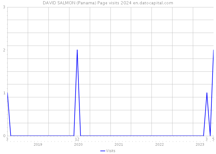 DAVID SALMON (Panama) Page visits 2024 