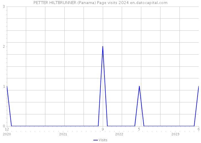 PETTER HILTBRUNNER (Panama) Page visits 2024 