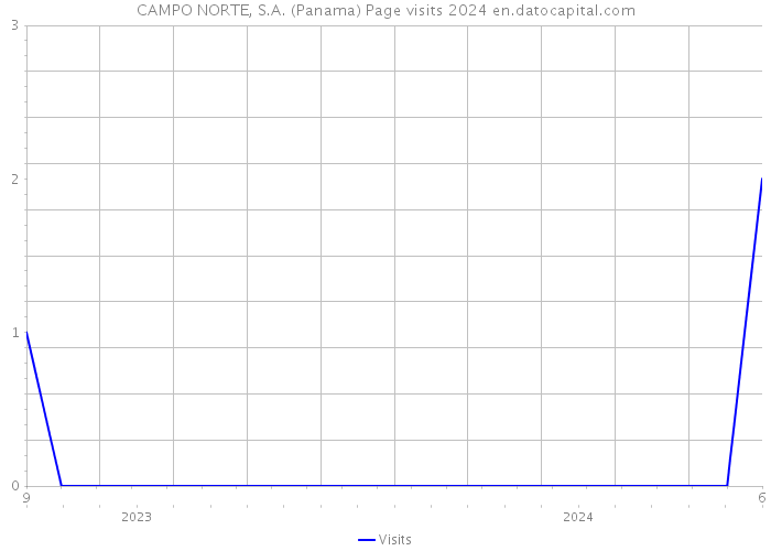 CAMPO NORTE, S.A. (Panama) Page visits 2024 