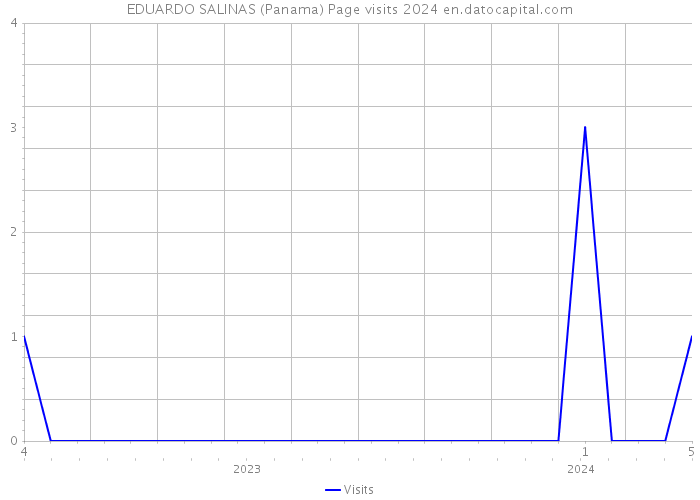EDUARDO SALINAS (Panama) Page visits 2024 