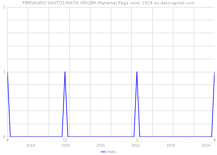 FERNANDO SANTOS MATA VIRGEM (Panama) Page visits 2024 