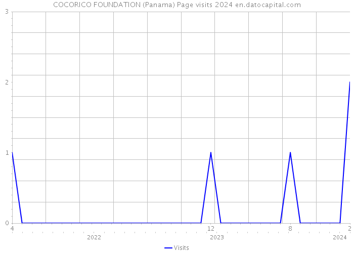 COCORICO FOUNDATION (Panama) Page visits 2024 