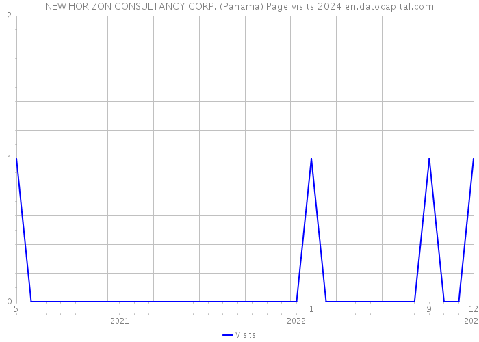 NEW HORIZON CONSULTANCY CORP. (Panama) Page visits 2024 