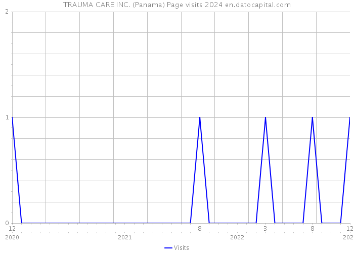 TRAUMA CARE INC. (Panama) Page visits 2024 