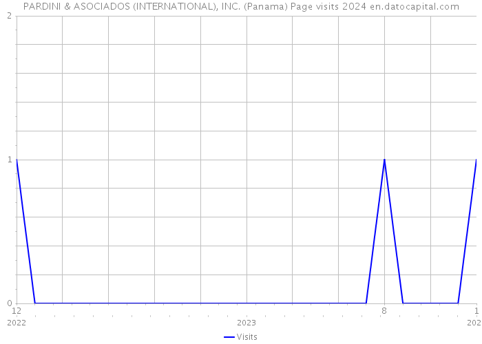 PARDINI & ASOCIADOS (INTERNATIONAL), INC. (Panama) Page visits 2024 