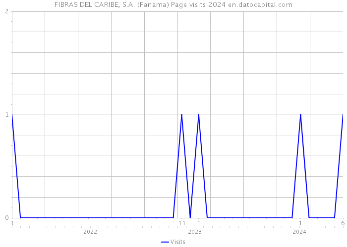 FIBRAS DEL CARIBE, S.A. (Panama) Page visits 2024 