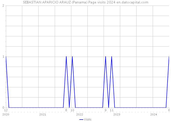 SEBASTIAN APARICIO ARAUZ (Panama) Page visits 2024 