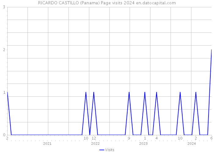 RICARDO CASTILLO (Panama) Page visits 2024 