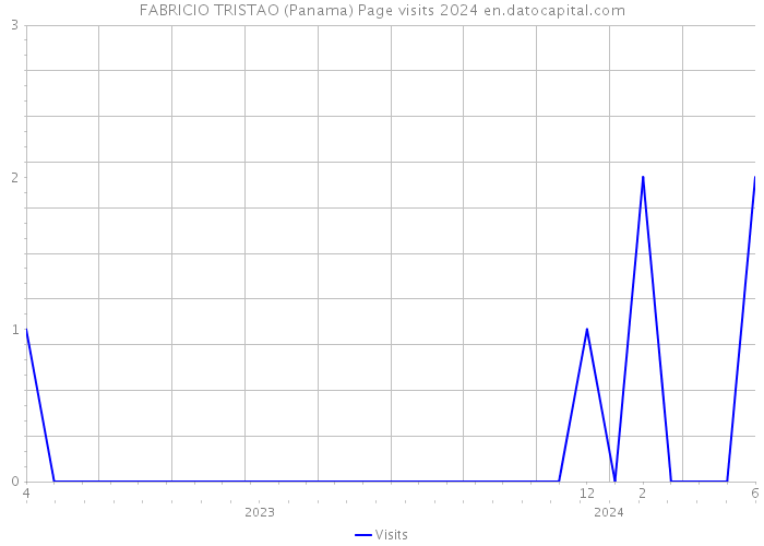 FABRICIO TRISTAO (Panama) Page visits 2024 
