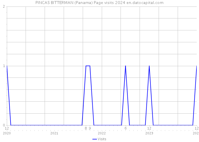 PINCAS BITTERMAN (Panama) Page visits 2024 
