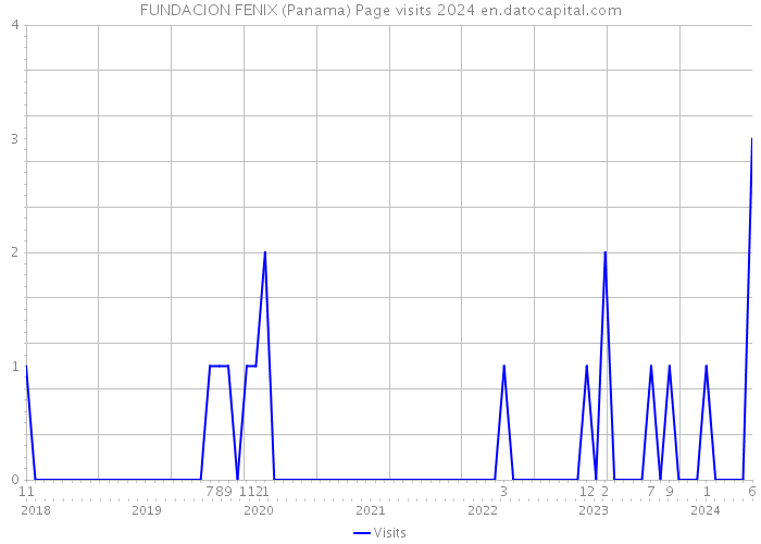 FUNDACION FENIX (Panama) Page visits 2024 