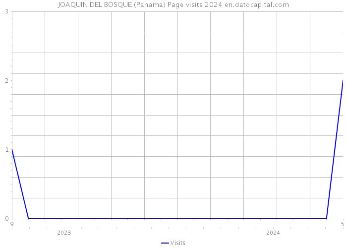 JOAQUIN DEL BOSQUE (Panama) Page visits 2024 