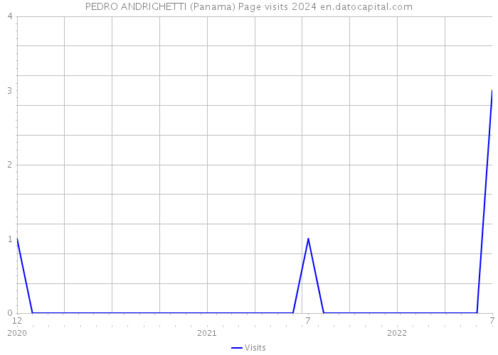 PEDRO ANDRIGHETTI (Panama) Page visits 2024 