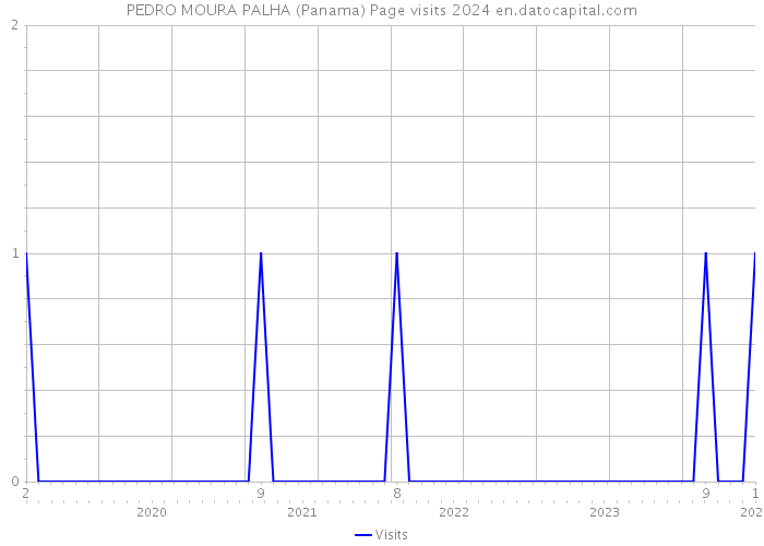 PEDRO MOURA PALHA (Panama) Page visits 2024 