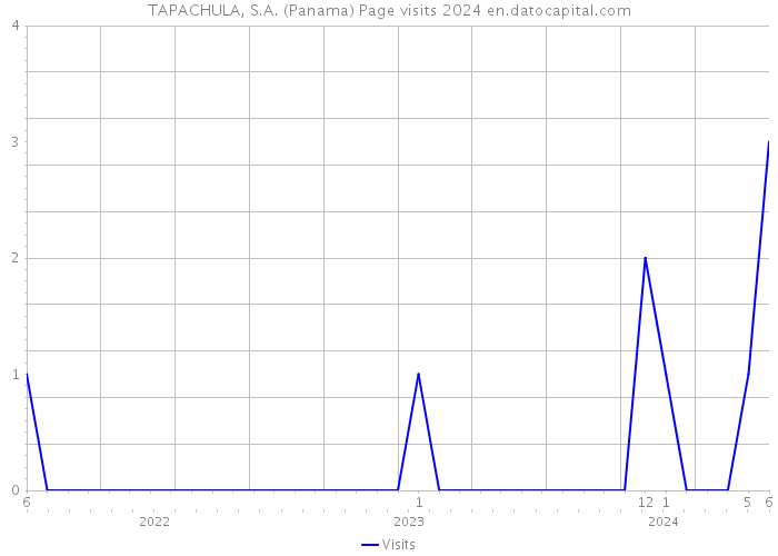 TAPACHULA, S.A. (Panama) Page visits 2024 