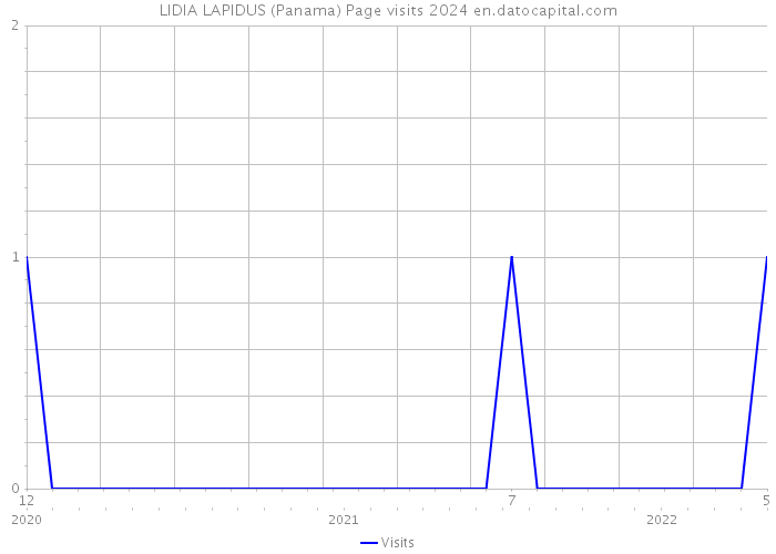 LIDIA LAPIDUS (Panama) Page visits 2024 