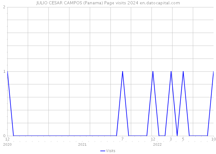 JULIO CESAR CAMPOS (Panama) Page visits 2024 