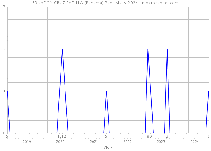 BRNADON CRUZ PADILLA (Panama) Page visits 2024 