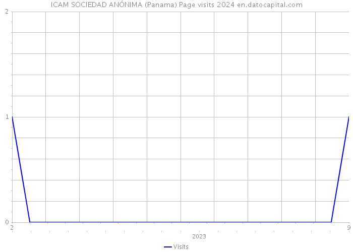ICAM SOCIEDAD ANÓNIMA (Panama) Page visits 2024 