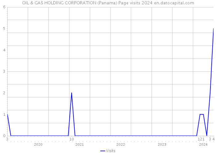 OIL & GAS HOLDING CORPORATION (Panama) Page visits 2024 