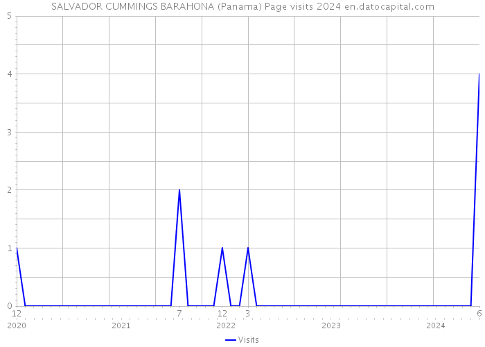 SALVADOR CUMMINGS BARAHONA (Panama) Page visits 2024 