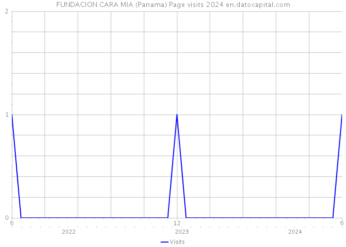 FUNDACION CARA MIA (Panama) Page visits 2024 