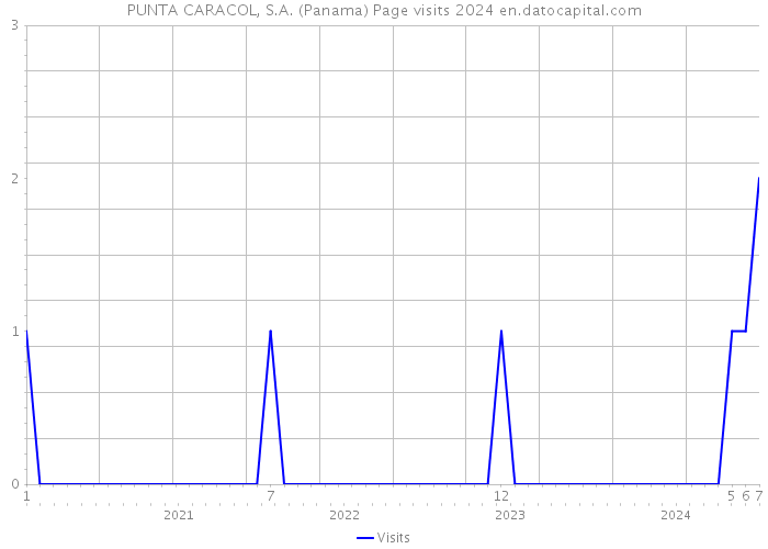 PUNTA CARACOL, S.A. (Panama) Page visits 2024 