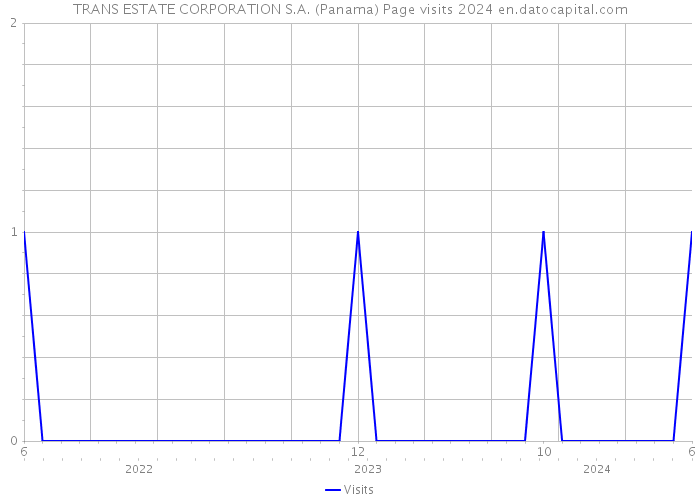 TRANS ESTATE CORPORATION S.A. (Panama) Page visits 2024 