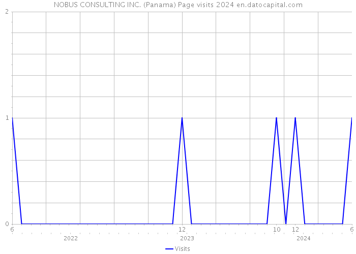 NOBUS CONSULTING INC. (Panama) Page visits 2024 