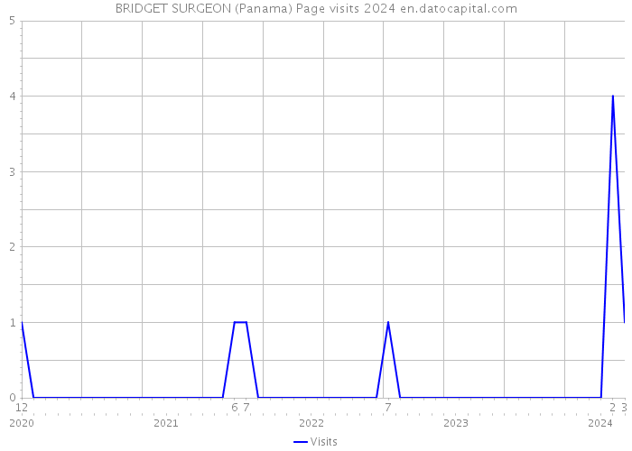 BRIDGET SURGEON (Panama) Page visits 2024 