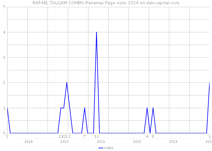 RAFAEL TALGAM COHEN (Panama) Page visits 2024 