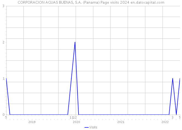 CORPORACION AGUAS BUENAS, S.A. (Panama) Page visits 2024 