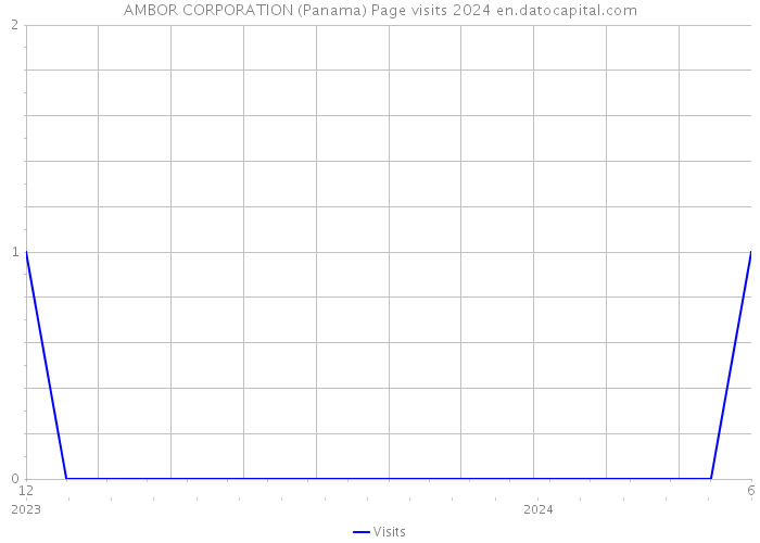 AMBOR CORPORATION (Panama) Page visits 2024 