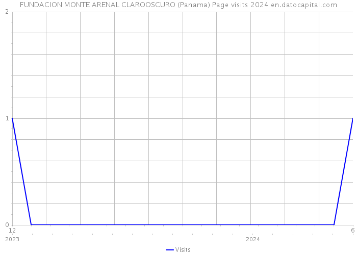 FUNDACION MONTE ARENAL CLAROOSCURO (Panama) Page visits 2024 