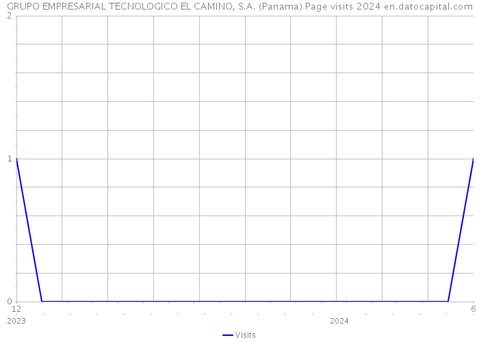 GRUPO EMPRESARIAL TECNOLOGICO EL CAMINO, S.A. (Panama) Page visits 2024 