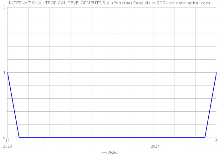 INTERNATIONAL TROPICAL DEVELOPMENTS,S.A. (Panama) Page visits 2024 