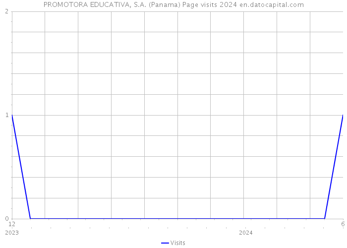 PROMOTORA EDUCATIVA, S.A. (Panama) Page visits 2024 