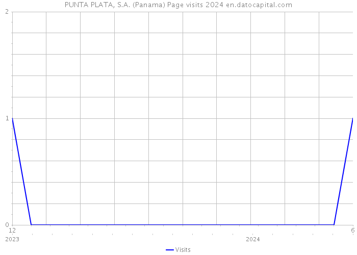 PUNTA PLATA, S.A. (Panama) Page visits 2024 