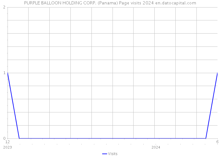 PURPLE BALLOON HOLDING CORP. (Panama) Page visits 2024 