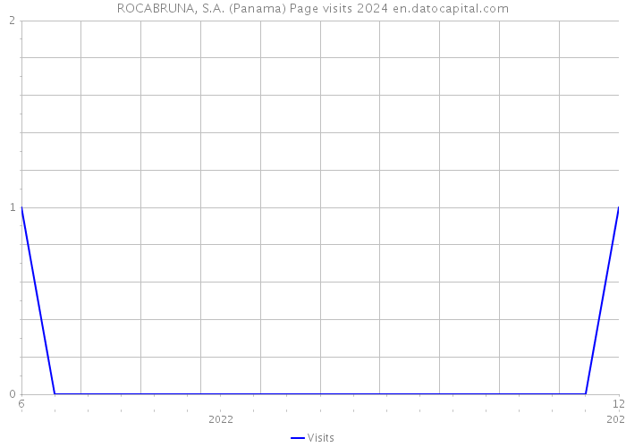 ROCABRUNA, S.A. (Panama) Page visits 2024 