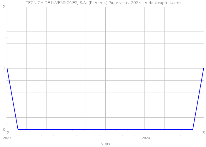 TECNICA DE INVERSIONES, S.A. (Panama) Page visits 2024 